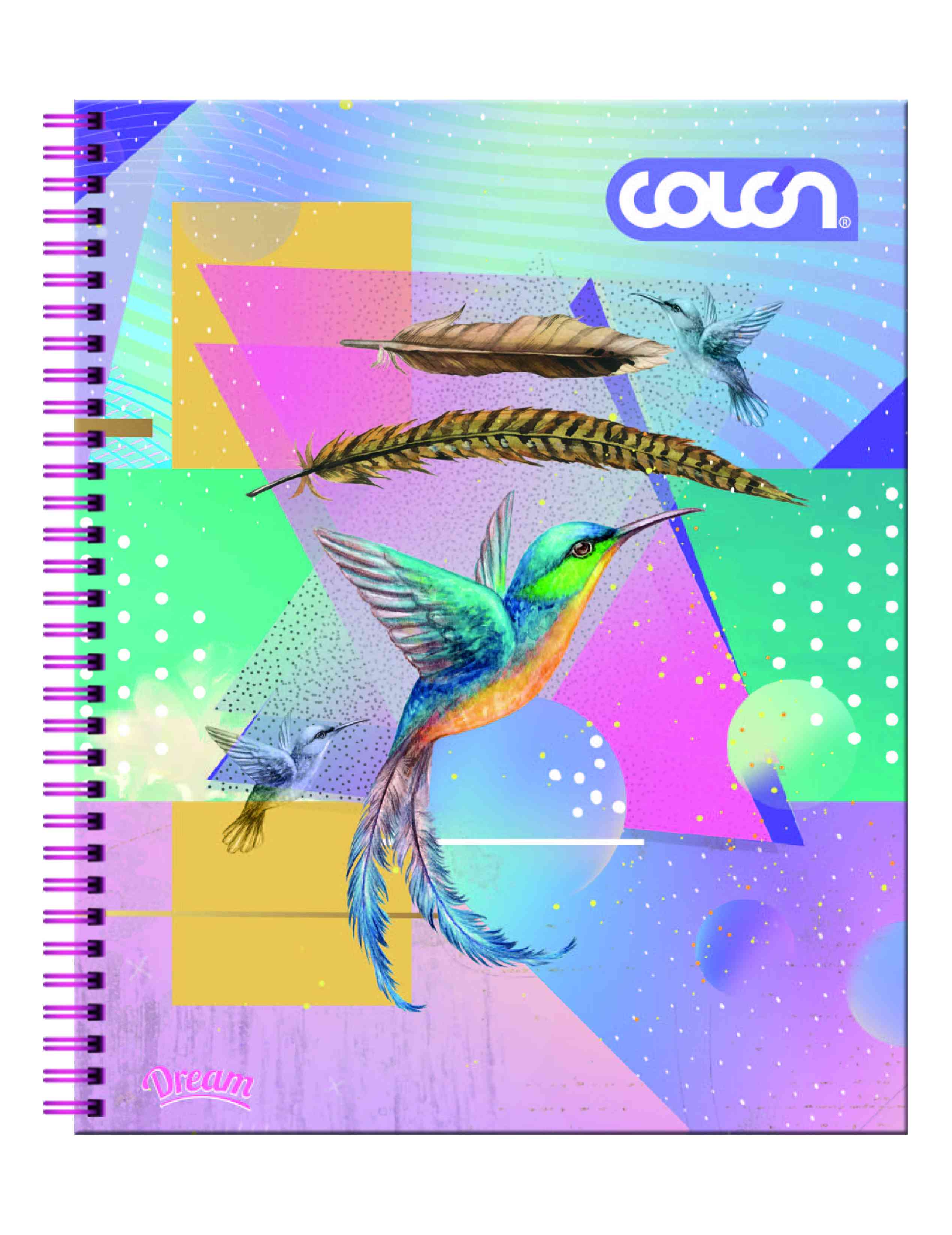Cuaderno Universitario Dream 7mm 100 hjs Colon